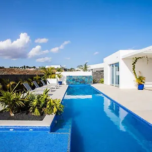Golf Palms , Costa Teguise Spain